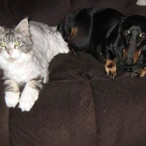 Meet your Posher, Jane